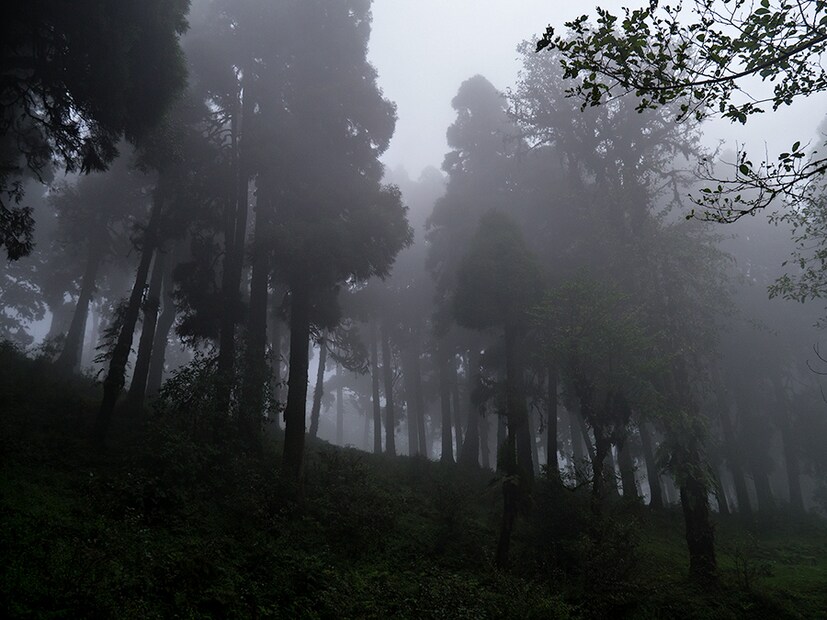 • হাওয়া অফিস জানাল গত ২৪ ঘন্টায় উত্তরবঙ্গের বিভিন্ন এলাকায় বৃষ্টিপাতের পরিমাণ কত ৷ 