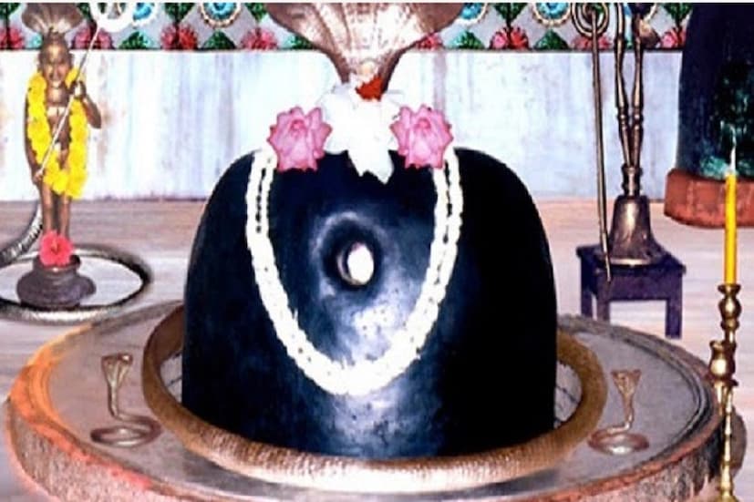 এই শ্রাবণ মাসের সোমবারগুলিতে নিরামিষ খাওয়াটা অত্যন্ত জরুরি ৷ 