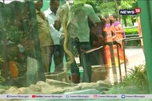 আলিপুর চিড়িয়াখানায় এবার এল অ্যানাকন্ডা আলিপুর চিড়িয়াখানায় এবার এল অ্যানাকন্ডা