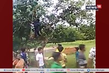 সিউড়িতে বিজেপিকর্মীদের উপর হামলার, লাঠি, বাঁশ দিয়ে বেধড়ক মারধর করার অভিযোগ সিউড়িতে বিজেপিকর্মীদের উপর হামলার, লাঠি, বাঁশ দিয়ে বেধড়ক মারধর করার অভিযোগ