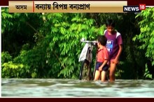 ভাসছে অসম, বন্যার জলে ভেসে চলছে হরিণ-গন্ডার, দেখুন ভিডিও
