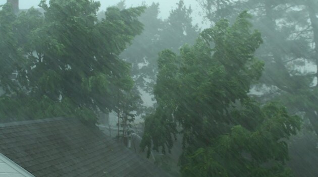 IMD জানিয়েছে যে মৌসুমি বায়ু ফের একবার সক্রিয় হয়েছে ৷ এর জেরে দিল্লিতে প্রবল বৃষ্টির সম্ভাবনা রয়েছে ৷ IMD জানিয়েছে যে মৌসুমি বায়ু ফের একবার সক্রিয় হয়েছে ৷ এর জেরে দিল্লিতে প্রবল বৃষ্টির সম্ভাবনা রয়েছে ৷