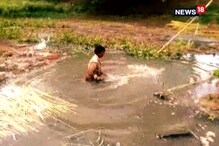 অনাবৃষ্টিতে শুকিয়ে যাচ্ছে পাট, মাথায় হাত চাষীদের অনাবৃষ্টিতে শুকিয়ে যাচ্ছে পাট, মাথায় হাত চাষীদের