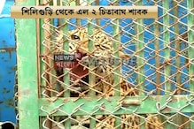 ছোট্ট ‘নয়ন’ ও ‘শিশির’ এল চিড়িয়াখানায়, দেখুন নতুন অতিথিদের ছবি ছোট্ট ‘নয়ন’ ও ‘শিশির’ এল চিড়িয়াখানায়, দেখুন নতুন অতিথিদের ছবি