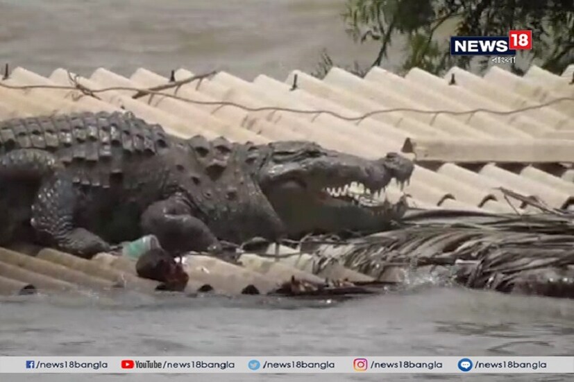 দেশের দক্ষিণের কেরলে তুমুল বৃষ্টিতে জলের তলায় একাধিক এলাকা ৷ নিজস্ব ছবি ৷
