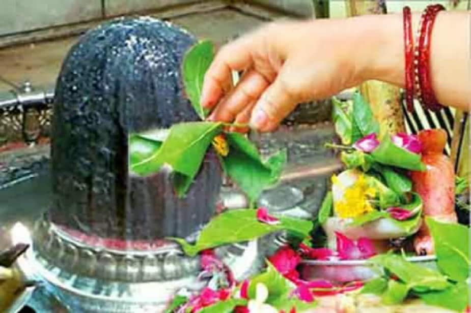 ♦ জেনে নিন সেই মন্ত্রগুলি ৷ মহাদেবের অত্যন্ত প্রিয় একটি বস্তু হল বেলপাতা ৷ আরে পুজোর সময় তাঁকে এই বেলপাতা অর্পণ করার সময় বলুন-‘ওঁ নমো শিবায় এষ সচন্দনপুষ্পবিল্বপত্রাঞ্জলি নমো শিবায় নমঃ।’ ♦ জেনে নিন সেই মন্ত্রগুলি ৷ মহাদেবের অত্যন্ত প্রিয় একটি বস্তু হল বেলপাতা ৷ আরে পুজোর সময় তাঁকে এই বেলপাতা অর্পণ করার সময় বলুন-‘ওঁ নমো শিবায় এষ সচন্দনপুষ্পবিল্বপত্রাঞ্জলি নমো শিবায় নমঃ।’