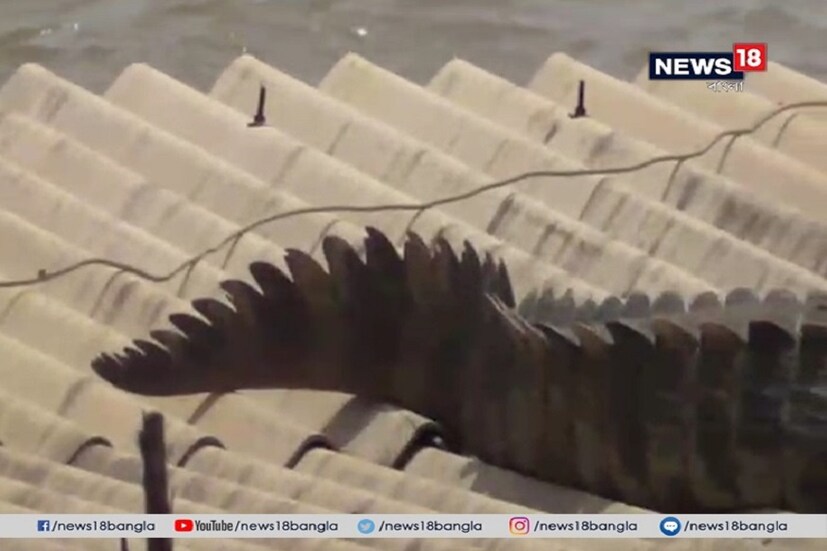 ঘরবাড়ি, জলের তলায় ৷ মাথার উপর থেকে সরে গিয়েছে বাঁচার শেষ সম্বলটুকুও ৷ নিজস্ব ছবি ৷