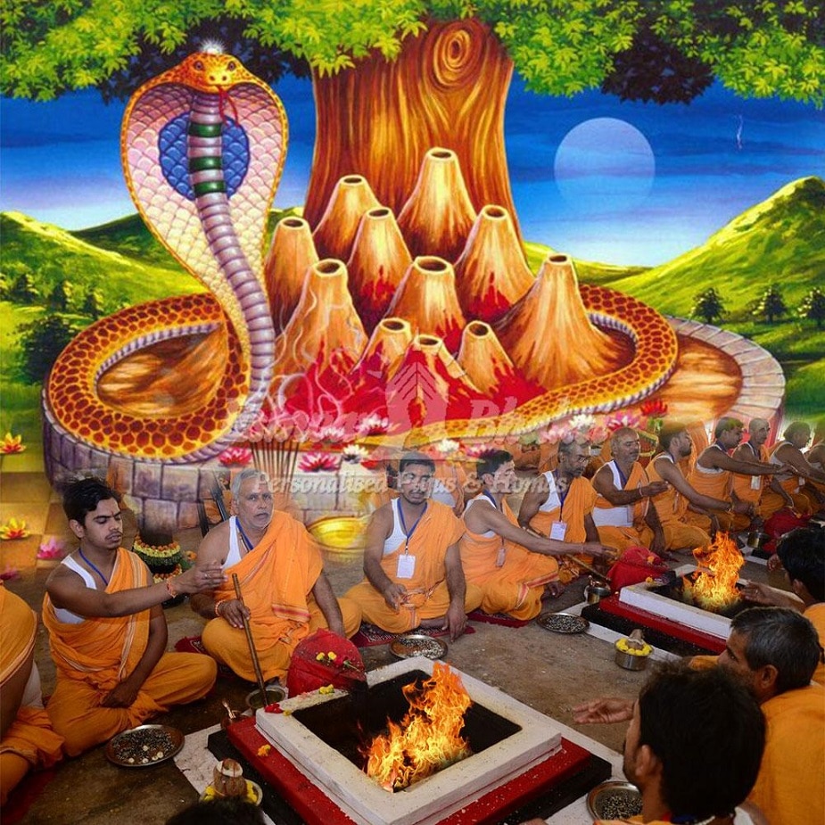 ♦ আজকের ভারতে নাগপঞ্চমী এক অতি জনপ্রিয় উৎসব। বিশেষত মধ্যভারতে, নাগ এক সর্বজনমান্য দেবতা। নাগপুরের নামকরণই এর প্রমাণ। এখানে নাগোবা মন্দিরে এদিন বিশেষ পূজা হয়। গোটা উত্তর ভারত জুড়ে পালিত হয় নাগপঞ্চমী। কাশীর কুস্তির আখড়াগুলিতে সর্পোপাসনা দেখবার মতো। দক্ষিণ ভারতে পূজা শুরু হয় অমাবস্যার দিন। পঞ্চমী হল মূল পূজার দিন। নেপালে গরুড়ের সঙ্গে নাগকুলের যুদ্ধ নাটকের আঙ্গিকে অভিনীত হয়। ♦ আজকের ভারতে নাগপঞ্চমী এক অতি জনপ্রিয় উৎসব। বিশেষত মধ্যভারতে, নাগ এক সর্বজনমান্য দেবতা। নাগপুরের নামকরণই এর প্রমাণ। এখানে নাগোবা মন্দিরে এদিন বিশেষ পূজা হয়। গোটা উত্তর ভারত জুড়ে পালিত হয় নাগপঞ্চমী। কাশীর কুস্তির আখড়াগুলিতে সর্পোপাসনা দেখবার মতো। দক্ষিণ ভারতে পূজা শুরু হয় অমাবস্যার দিন। পঞ্চমী হল মূল পূজার দিন। নেপালে গরুড়ের সঙ্গে নাগকুলের যুদ্ধ নাটকের আঙ্গিকে অভিনীত হয়।