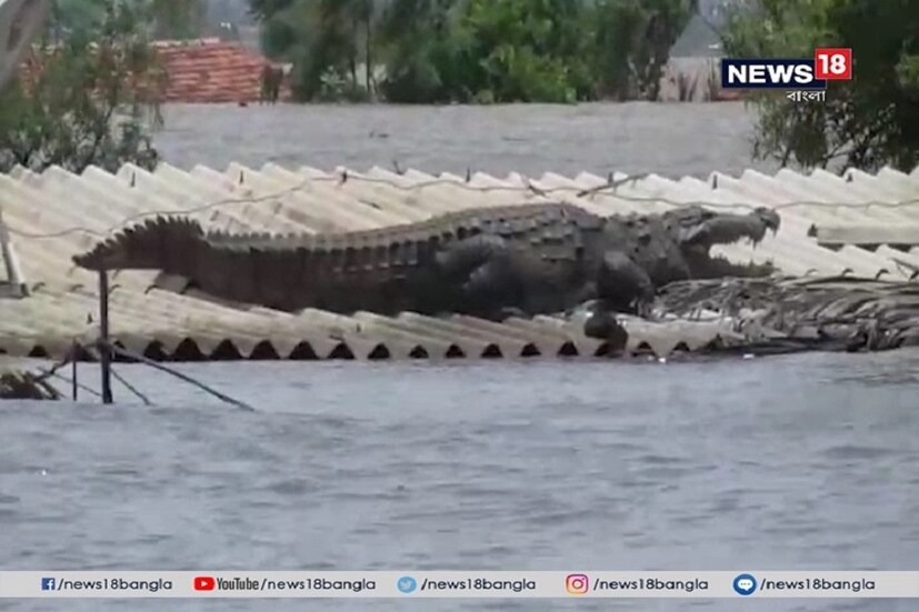 জীবন ও মরণের মাঝে ব্যবধান সামান্য ৷ নিজস্ব ছবি ৷