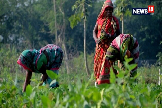 কেন্দ্রীয় কৃষি মন্ত্রালয়ের আধিকারিকের দেওয়া তথ্য অনুযায়ী, ধাড়খণ্ডে প্রত্যেক কৃষকের মাসে আয় ৪৭২১ টাকা যা অনেকটাই কম ৷ তাই রাজ্য সরকারি এই স্কিম নিয়ে এসেছে ৷ কেন্দ্রীয় কৃষি মন্ত্রালয়ের আধিকারিকের দেওয়া তথ্য অনুযায়ী, ধাড়খণ্ডে প্রত্যেক কৃষকের মাসে আয় ৪৭২১ টাকা যা অনেকটাই কম ৷ তাই রাজ্য সরকারি এই স্কিম নিয়ে এসেছে ৷