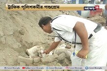 বৃষ্টিতে সাত সদ্যোজাতকে নিয়ে অসহায় কুকুর ! প্রাণ বাঁচালেন ট্রাফিক পুলিশ বৃষ্টিতে সাত সদ্যোজাতকে নিয়ে অসহায় কুকুর ! প্রাণ বাঁচালেন ট্রাফিক পুলিশ