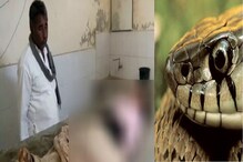 সারা শরীরে মুহূর্তে ছড়িয়েছে বিষ, সাপের কামড়ে জোড়া মৃত, আতঙ্কের দিনরাত সারা শরীরে মুহূর্তে ছড়িয়েছে বিষ, সাপের কামড়ে জোড়া মৃত, আতঙ্কের দিনরাত
