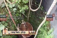 কুকুরের তাড়ায় কুয়োয় পড়ল বেড়াল, তারপর যা হল.... কুকুরের তাড়ায় কুয়োয় পড়ল বেড়াল, তারপর যা হল....
