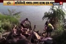 গাদা গাদা মরা গরু রোজ ফেলা হচ্ছে গঙ্গায়, মূর্শিদাবাদে বেড়েই চলেছে দূষণ গাদা গাদা মরা গরু রোজ ফেলা হচ্ছে গঙ্গায়, মূর্শিদাবাদে বেড়েই চলেছে দূষণ