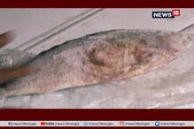 ফর্মেলিন দেওয়া পচা মাছ, খাবার দোকানে ময়লা,বালুরঘাটের করুণ ছবি ফর্মেলিন দেওয়া পচা মাছ, খাবার দোকানে ময়লা,বালুরঘাটের করুণ ছবি