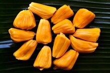 বর্ষাকালে সুস্থ থাকতে অবশ্যই খান কাঁঠাল বর্ষাকালে সুস্থ থাকতে অবশ্যই খান কাঁঠাল