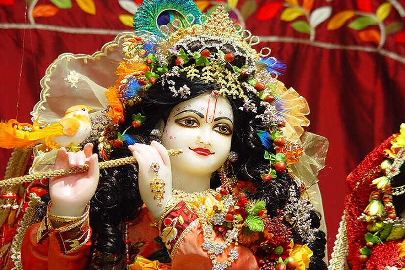• শ্রীকৃষ্ণের পুজো করার সময় কয়েকটি নিয়ম অবশ্যই মানতে হবে ৷ শাস্ত্রে রয়েছে দুর্ভাগ্যকে, সৌভাগ্যে পরিণত করতে শুধু কৃষ্ণ নামই যথেষ্ট ৷ এদিন নতুন করে সাজিয়ে তুলুন কৃষ্ণ মূর্তিকে ৷ পরান নতুন পোশাক, গয়না ৷ কৃষ্ণকে ভোগ দিন মাখন, মিছরি ৷