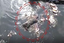 বাগজোলা খাল থেকে উদ্ধার অজ্ঞাত পরিচয় ব্যক্তির পচাগলা দেহ বাগজোলা খাল থেকে উদ্ধার অজ্ঞাত পরিচয় ব্যক্তির পচাগলা দেহ