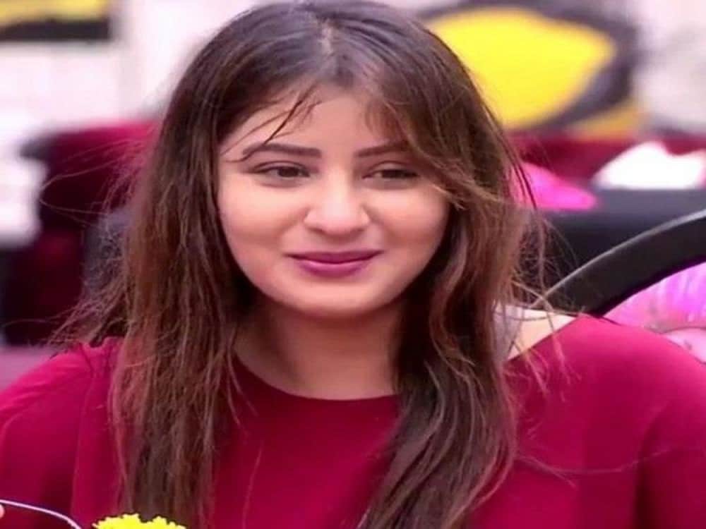 তিনি আরও জানিয়েছেন অনেক পাকিস্তানি সমর্থক আছেন যাঁরা বিগবস জিততে সাহায্য করেছেন তাঁকে ৷ ছবি সংগৃহীত ৷ তিনি আরও জানিয়েছেন অনেক পাকিস্তানি সমর্থক আছেন যাঁরা বিগবস জিততে সাহায্য করেছেন তাঁকে ৷ ছবি সংগৃহীত ৷