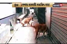 ৩০ জন ছেলেমেয়ের দেখভাল করছেন চুঁচুড়ার সত্যজিৎ সাহা ৩০ জন ছেলেমেয়ের দেখভাল করছেন চুঁচুড়ার সত্যজিৎ সাহা