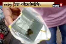 কোল্ড ড্রিঙ্কের প্যাকেটে মৃত টিকটিকি ও ডিম! অসুস্থ ৪ বছরের শিশু কোল্ড ড্রিঙ্কের প্যাকেটে মৃত টিকটিকি ও ডিম! অসুস্থ ৪ বছরের শিশু