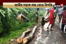 রাতভর বৃষ্টিতে গাছ পড়ে বিপত্তি ডায়মন্ড হারবারে, দেখুন রাতভর বৃষ্টিতে গাছ পড়ে বিপত্তি ডায়মন্ড হারবারে, দেখুন