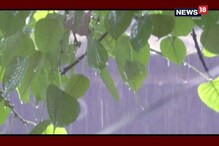 কেমন থাকবে দিনভর আবহাওয়া? জানুন কেমন থাকবে দিনভর আবহাওয়া? জানুন