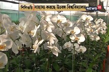 শিলিগুড়িতে শুরু অর্কিড চাষ, দেখুন শিলিগুড়িতে শুরু অর্কিড চাষ, দেখুন