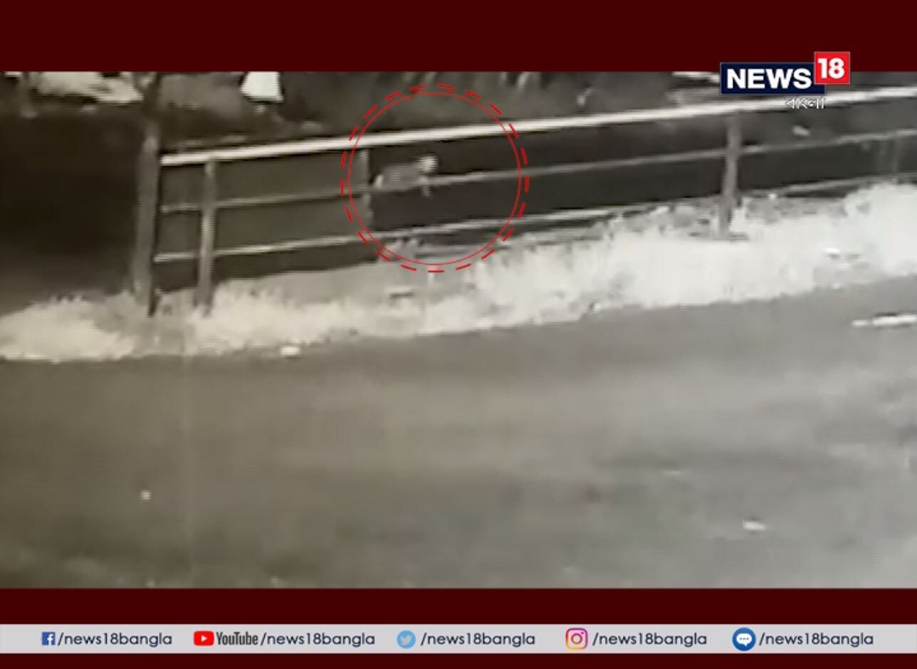 কথায় বলে, রাখে হরি মারে কে? আচমকা গাড়ি থেকে অন্ধকার শুনশান রাস্তায় পড়ে গিয়ে আঘাত লাগলেও ঘাবড়ে যায়নি দেড় বছরের খুদে ৷ আহত ও রক্তাক্ত অবস্থায় সমস্ত শক্তি সঞ্চয় করে কোনওমতে হামাগুড়ি দিয়ে কাছাকাছি থাকা চেকপোস্টে পৌঁছনোর চেষ্টা করতে থাকে ৷ কথায় বলে, রাখে হরি মারে কে? আচমকা গাড়ি থেকে অন্ধকার শুনশান রাস্তায় পড়ে গিয়ে আঘাত লাগলেও ঘাবড়ে যায়নি দেড় বছরের খুদে ৷ আহত ও রক্তাক্ত অবস্থায় সমস্ত শক্তি সঞ্চয় করে কোনওমতে হামাগুড়ি দিয়ে কাছাকাছি থাকা চেকপোস্টে পৌঁছনোর চেষ্টা করতে থাকে ৷