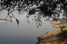 সুবর্ণরেখা নদীকে তুষ্ট করতে দশভূজা রূপে কচুগাছ পুজো হয় ঝাড়গ্রামে সুবর্ণরেখা নদীকে তুষ্ট করতে দশভূজা রূপে কচুগাছ পুজো হয় ঝাড়গ্রামে