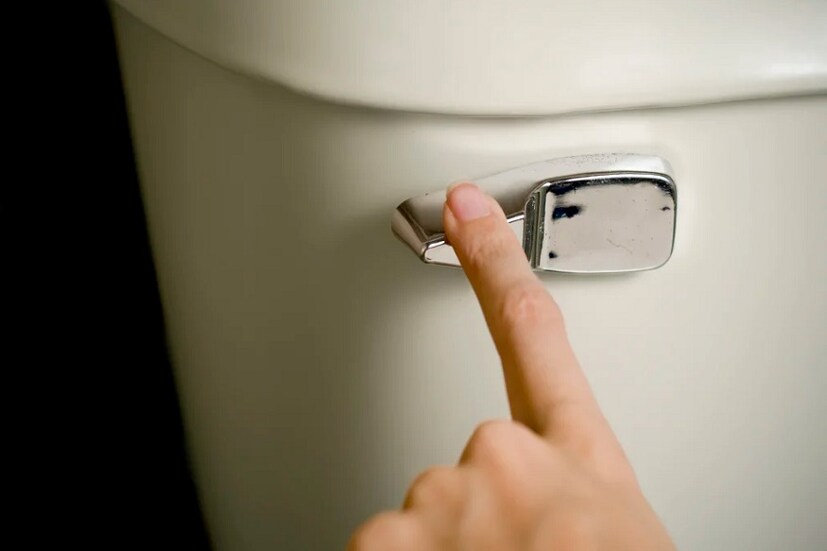 কারও কারও সকালে উঠেই পেট পরিষ্কার হয়ে যায়, কেউ কেউ ভোগেন কোষ্ঠকাঠিন্যের সমস্যায়৷ যাদের কোষ্ঠকাঠিন্যের সমস্যা ভোগেন তারাই ভোগেন কষ্টটা৷ এই খাবারগুলো যদি তালিকায় রাখেন তাহলে সকালে উঠে পেট পরিষ্কার হতে বাধ্যে৷