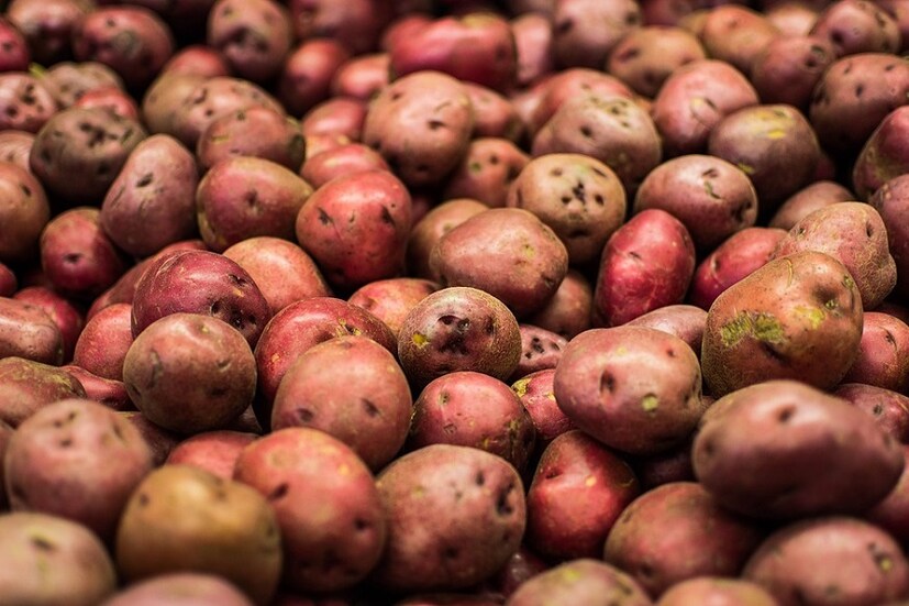 প্রচুর পরিমাণ ভিটামিন ও মিনারেল থাকার পাশাপাশি ফাইবারও থাকে প্রচুর৷ ফলে রাঙাআলু নিয়মিত খেলে পেট পরিষ্কার থাকে৷