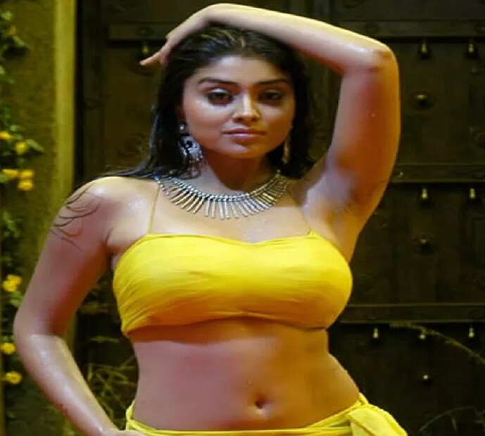 হিন্দির পাশাপাশি তিনি তেলুগু ও তামিল ছবিতেও অভিনয় করেছেন ৷ সংগৃহীত ছবি ৷ 