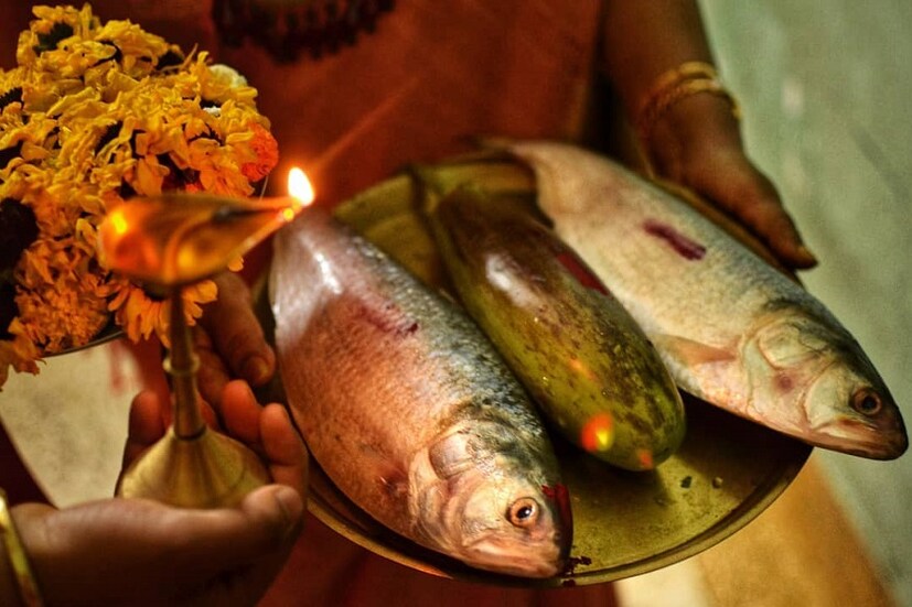 • লক্ষ্মীপুজোয় অনেক বাড়িতেই জোড়া ইলিশ দেওয়ার নিয়ম ৷  Instagram/ Debmalya Das