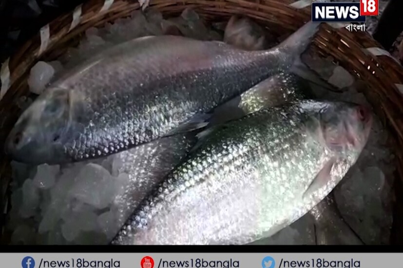 • ৮০০ গ্রাম ওজনের ইলিশ ১২০০ টাকা/কেজি ৷