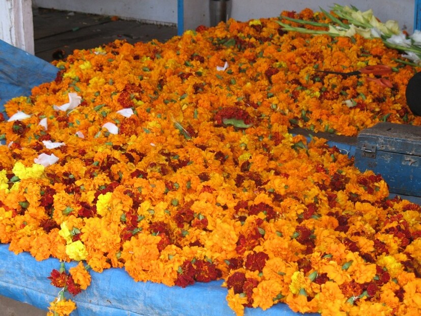 লক্ষ্মী পুজোয় লাল, গোলাপি রঙের ফুল ব্যবহার করবেন, মা কে ভুলেও সাদা ফুল অর্পণ করবেন না 