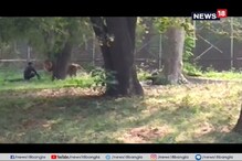 সংসারে তুমুল ঝগড়া ! সোশ্যাল মিডিয়ায় প্রকাশ্যে রণবীরকে বকা দিলেন দীপিকা সংসারে তুমুল ঝগড়া ! সোশ্যাল মিডিয়ায় প্রকাশ্যে রণবীরকে বকা দিলেন দীপিকা