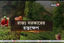 সরকারি মধ্যস্থতায় কাটল চাবাগানের বোনাস জট সরকারি মধ্যস্থতায় কাটল চাবাগানের বোনাস জট