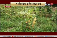 রাজ্যে প্রবল বৃষ্টিতে ক্ষতিগ্রস্ত চাষবাস, জলের তলায় চাষের জমি রাজ্যে প্রবল বৃষ্টিতে ক্ষতিগ্রস্ত চাষবাস, জলের তলায় চাষের জমি