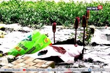 বিসর্জনের পর শোচনীয় অবস্থা জলাশয়ের, দূষণ রুখতে অভিযান পুরসভার বিসর্জনের পর শোচনীয় অবস্থা জলাশয়ের, দূষণ রুখতে অভিযান পুরসভার