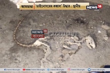 পশ্চিমবঙ্গে ডাইনোসরের কঙ্কাল! চাঞ্চল্যকর দাবির পিছনে সত্যিটা কী? পশ্চিমবঙ্গে ডাইনোসরের কঙ্কাল! চাঞ্চল্যকর দাবির পিছনে সত্যিটা কী?