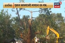 ‘বুলবুল’-এ উপড়ে গিয়েছিল রবার গাছ, ফের গাছটিকে সোজা করে বসিয়ে দিলেন বাসিন্দারা ‘বুলবুল’-এ উপড়ে গিয়েছিল রবার গাছ, ফের গাছটিকে সোজা করে বসিয়ে দিলেন বাসিন্দারা