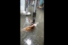 বন্যার জলে শরীর ভিজিয়ে রোমান্টিক ‘বৌদি’, ভাইরাল ভিডিও বন্যার জলে শরীর ভিজিয়ে রোমান্টিক ‘বৌদি’, ভাইরাল ভিডিও