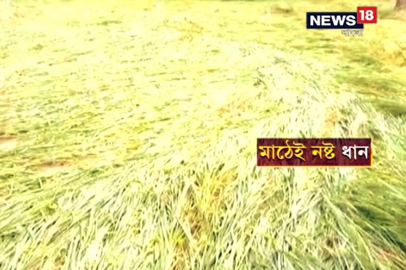 ঘূর্ণিঝড়ের দাপট বাসন্তী, ঝড়খালিতেও৷ কাঁচাবাড়ি, গাছ ভেঙে বিপত্তি৷ ঝড়ের দাপটে দঃ ২৪ পরগনায় চাষে ক্ষতি৷ ধান ও পান চাষে ক্ষতি৷ ঝড়ের দাপটে ক্ষতি শীতকালীন সবজি চাষেও৷ 