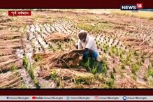 ঘূর্ণিঝড়ের তাণ্ডবে দক্ষিণবঙ্গের বিভিন্ন জেলায় লন্ডভন্ড চাষের জমি ঘূর্ণিঝড়ের তাণ্ডবে দক্ষিণবঙ্গের বিভিন্ন জেলায় লন্ডভন্ড চাষের জমি