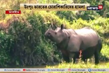 জলদাপাড়া জাতীয় উদ্যানে খড়গ কাটা গন্ডারের দেহ উদ্ধার, চোরাশিকারিদের হামলায় খুন? জলদাপাড়া জাতীয় উদ্যানে খড়গ কাটা গন্ডারের দেহ উদ্ধার, চোরাশিকারিদের হামলায় খুন?