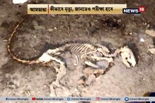 আমডাঙ্গাতে উদ্ধার পূর্ণাঙ্গ কঙ্কাল না পাওয়ায় বিপত্তি আমডাঙ্গাতে উদ্ধার পূর্ণাঙ্গ কঙ্কাল না পাওয়ায় বিপত্তি
