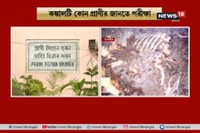 ডাইনোসর নয়, তবে এ কঙ্কাল কার ? জানতে পরীক্ষা জুলজিক্যাল সার্ভে অফ ইন্ডিয়ার ডাইনোসর নয়, তবে এ কঙ্কাল কার ? জানতে পরীক্ষা জুলজিক্যাল সার্ভে অফ ইন্ডিয়ার