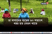 ১ কোটির উপর ক্যাশ লেনদেনে ২ শতাংশ টিডিএস, বিপাকে উত্তরবঙ্গে চা শিল্প ১ কোটির উপর ক্যাশ লেনদেনে ২ শতাংশ টিডিএস, বিপাকে উত্তরবঙ্গে চা শিল্প