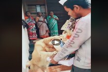 অবিশ্বাস্য ! সিদ্ধিদাতা গণেশের মূর্তিতে প্রণাম পোষ্য কুকুরের, ঝড়ের গতিতে ভাইরাল অবিশ্বাস্য ! সিদ্ধিদাতা গণেশের মূর্তিতে প্রণাম পোষ্য কুকুরের, ঝড়ের গতিতে ভাইরাল